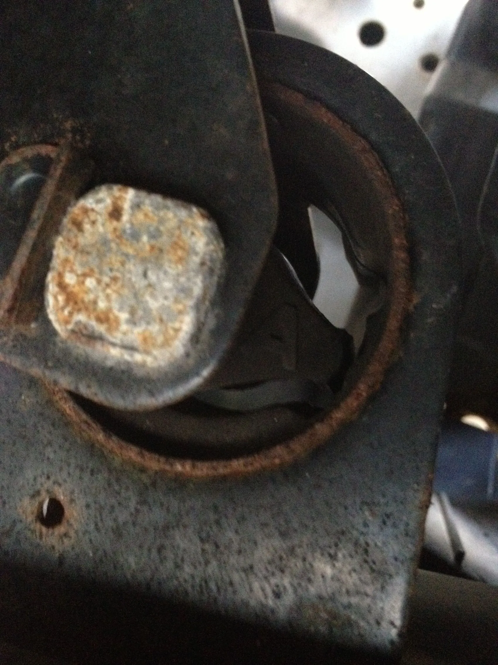 photo-5.JPG