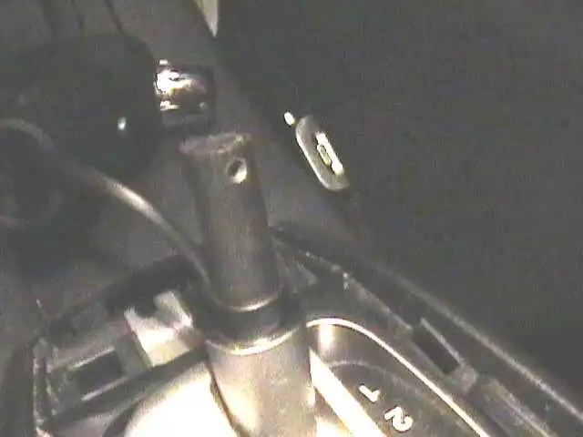 pic 5.jpg