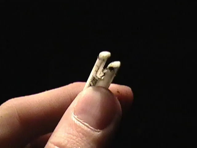pic 7.jpg