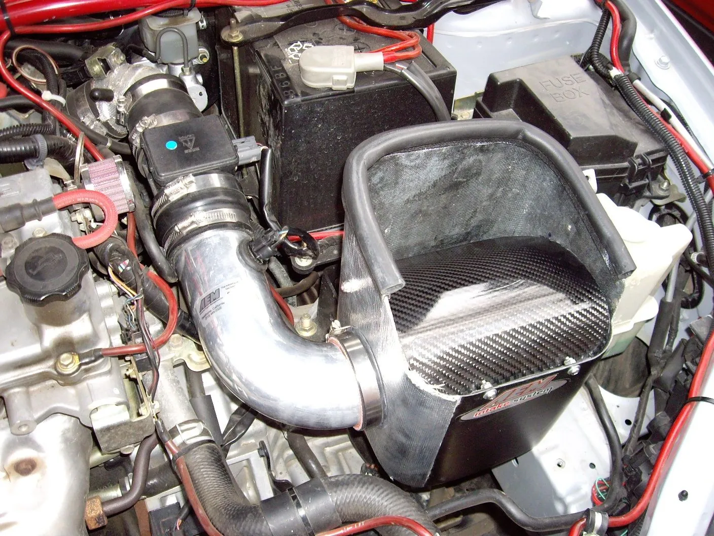 Pic3.JPG