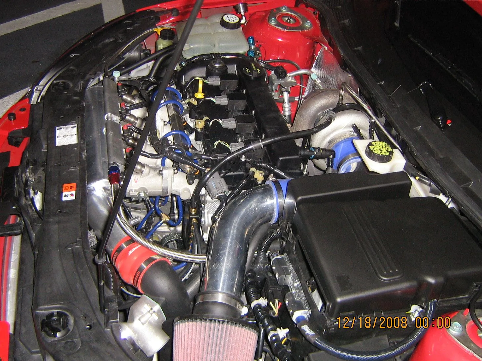 PICS 121808 001.webp