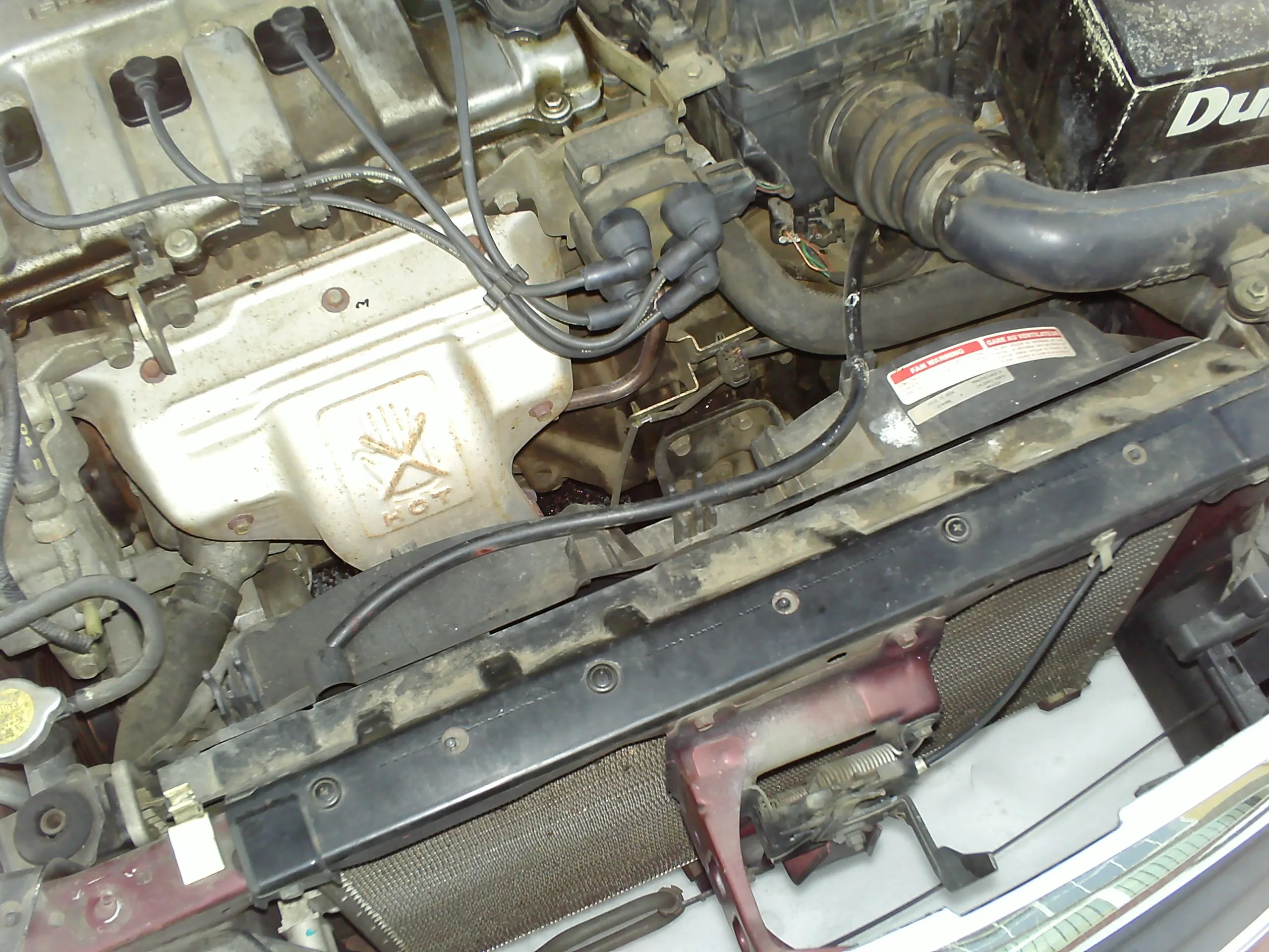PICT0009.JPG