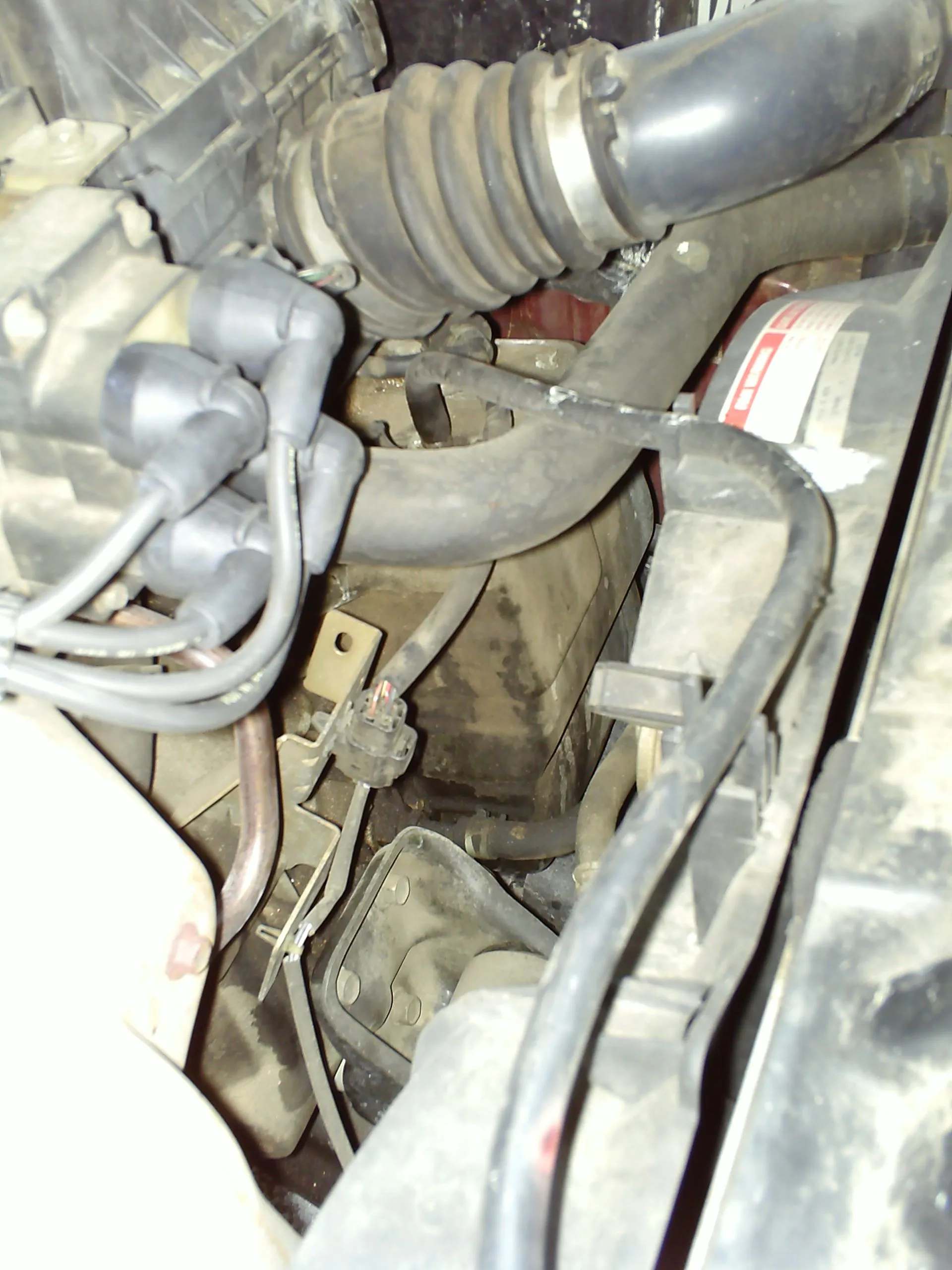 PICT0012.JPG