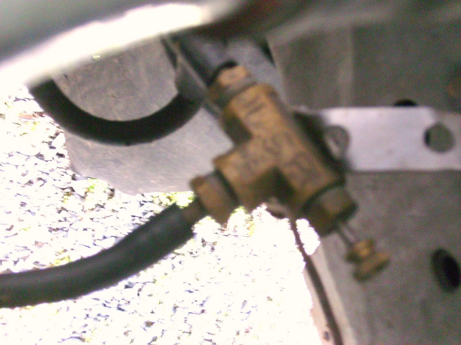 PICT0179.JPG