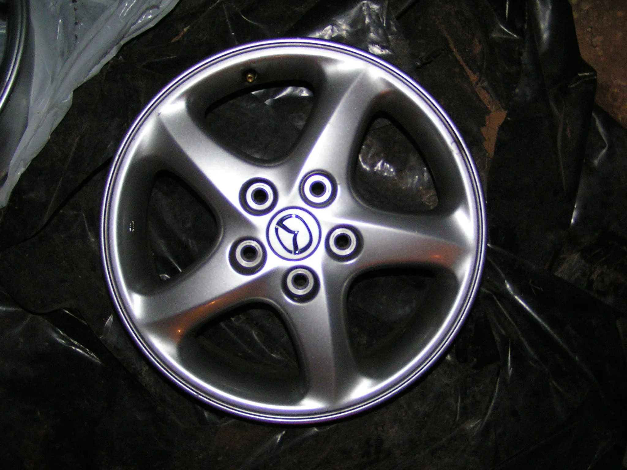 PICT0308.JPG