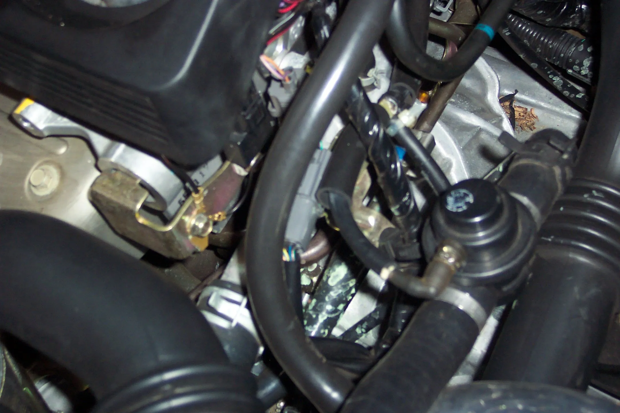 picture 001.jpg