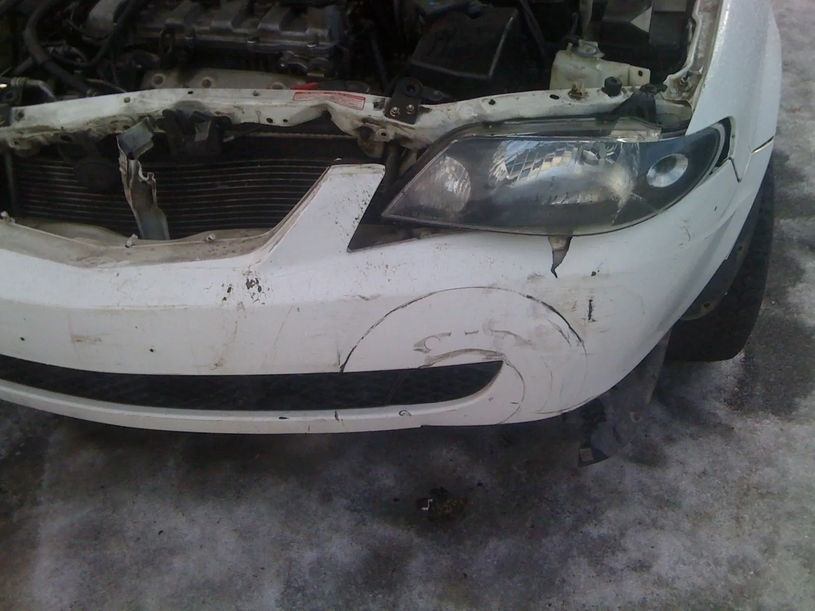 Picture 001.webp