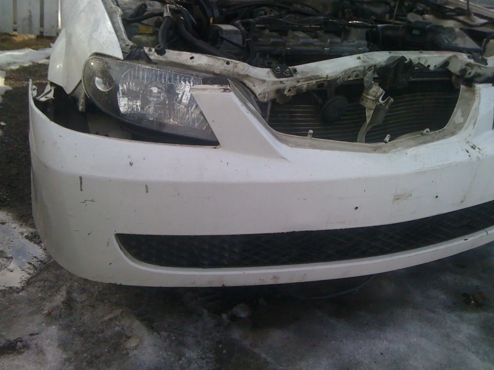 Picture 002.webp