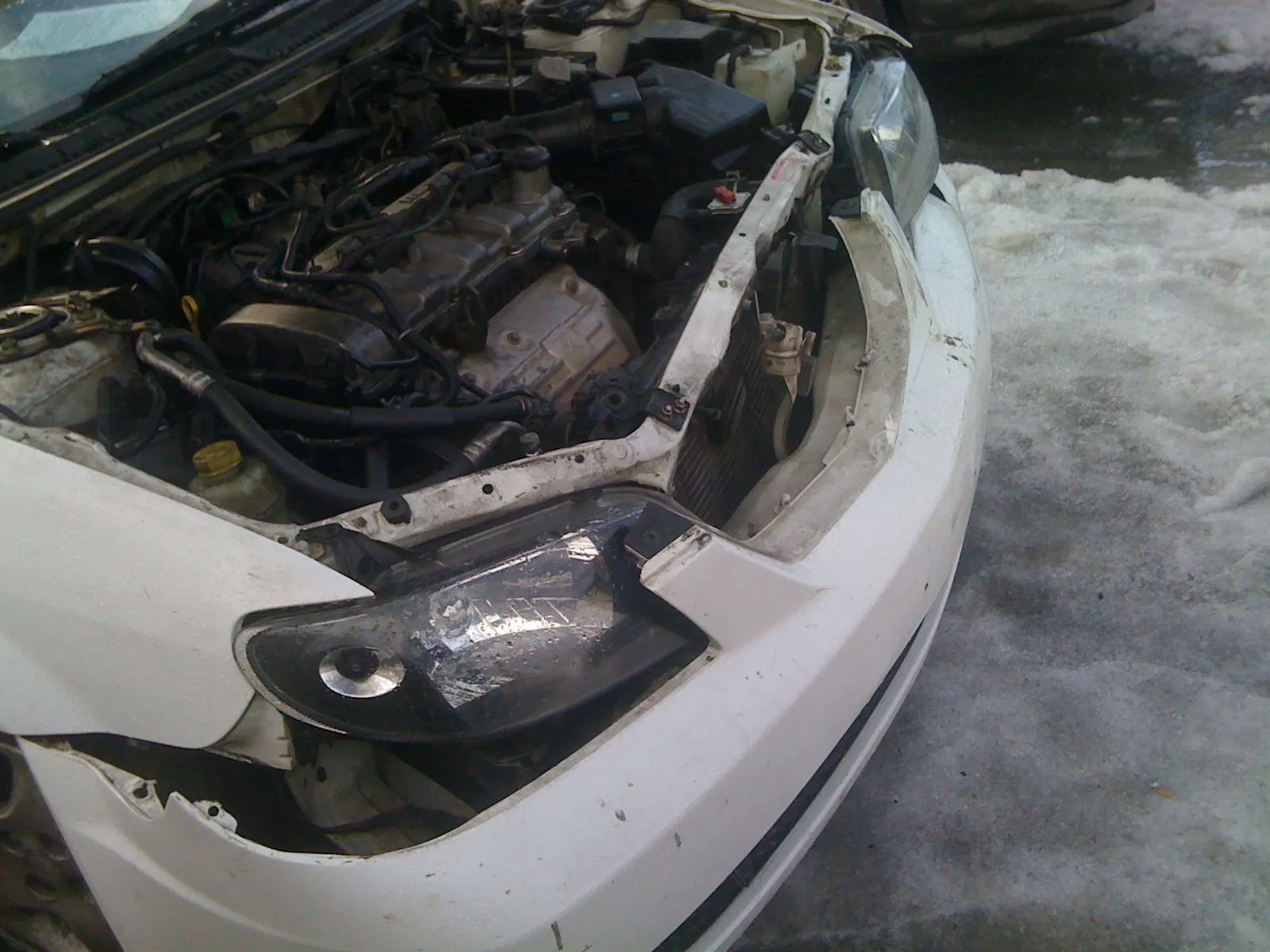 Picture 003.webp