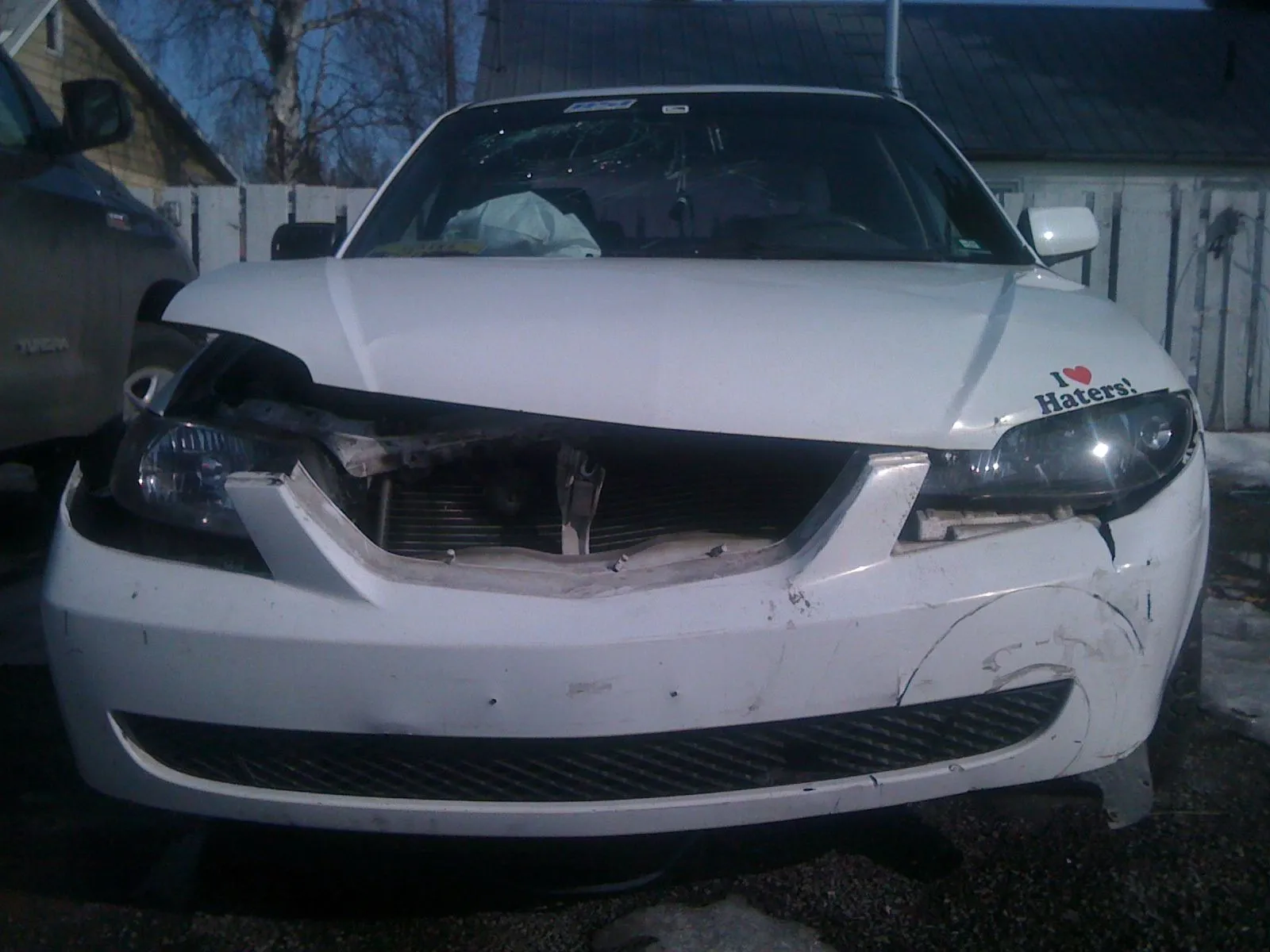Picture 004.webp