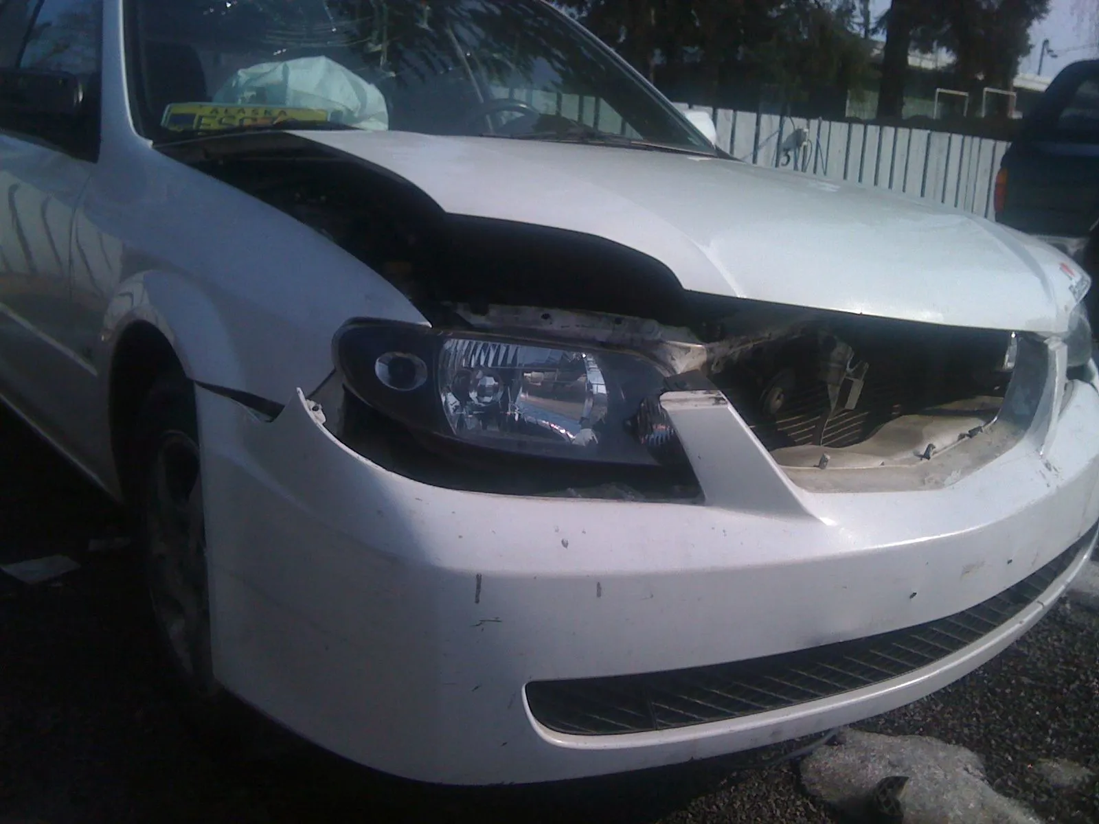 Picture 005.webp