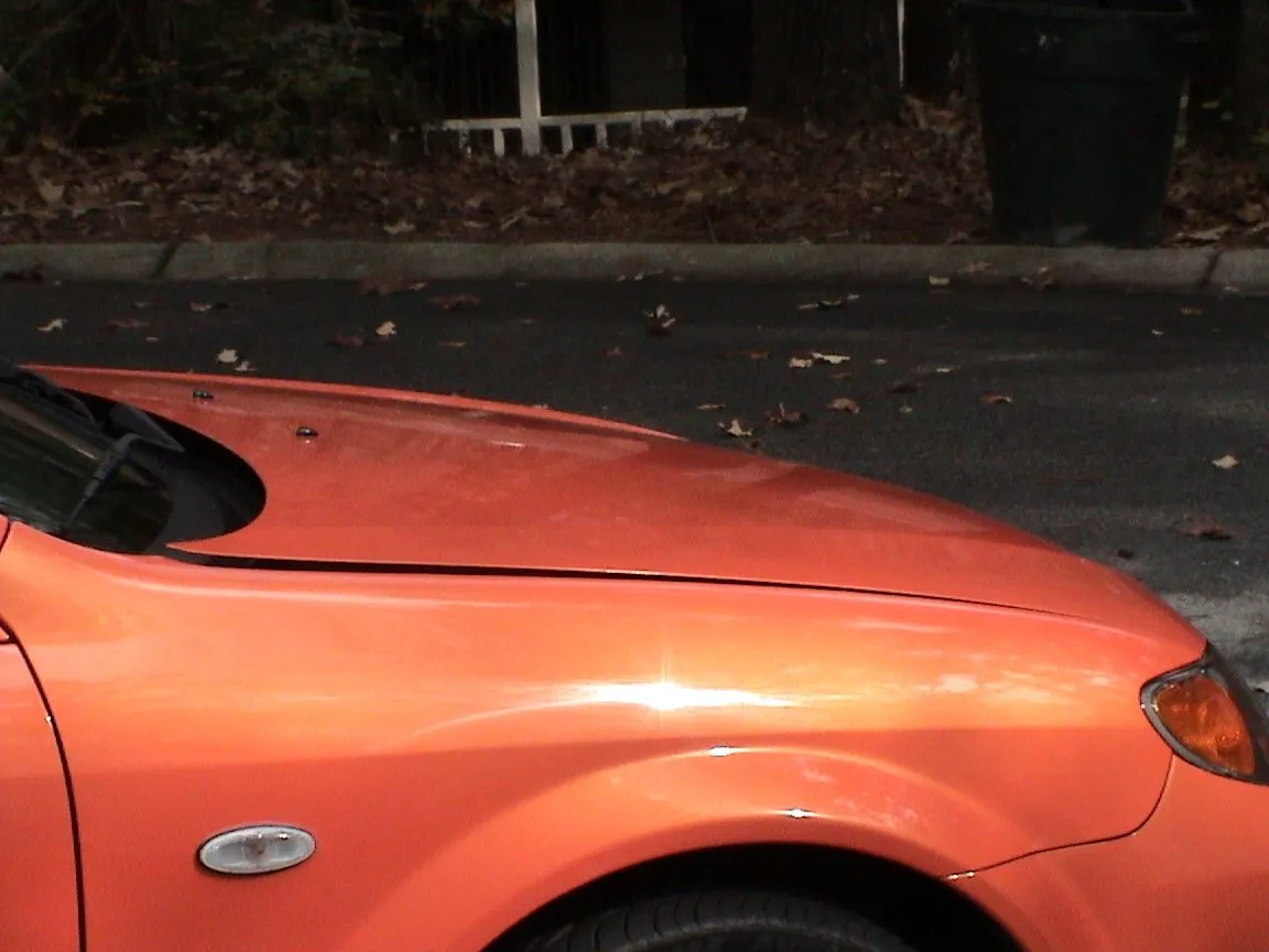 picture 007.jpg