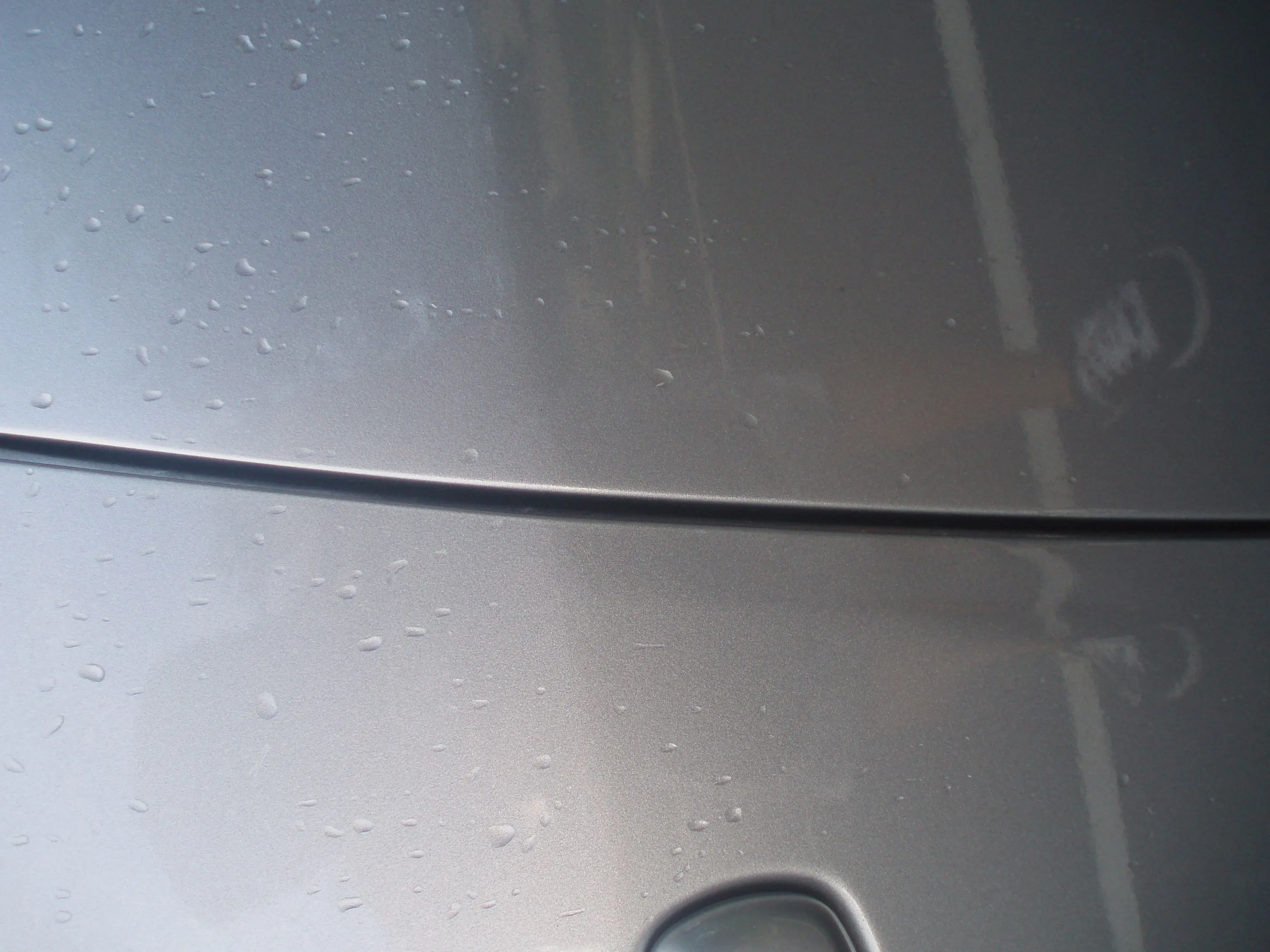 Picture 023.jpg