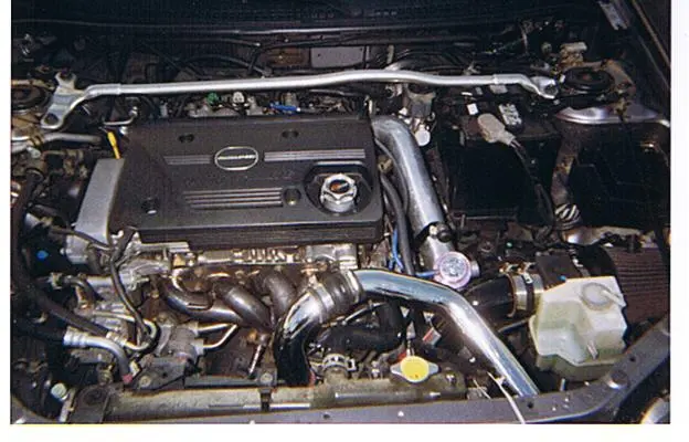 Picture 026.jpg