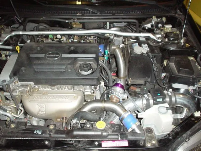 Picture 075.jpg