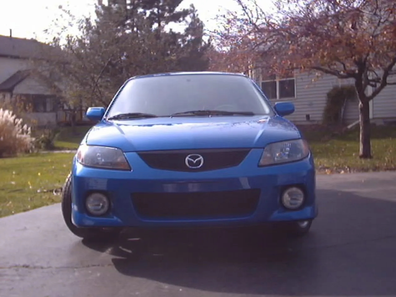 picture 1.jpg