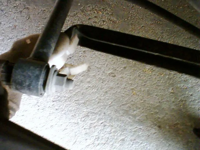 Picture 1.jpg