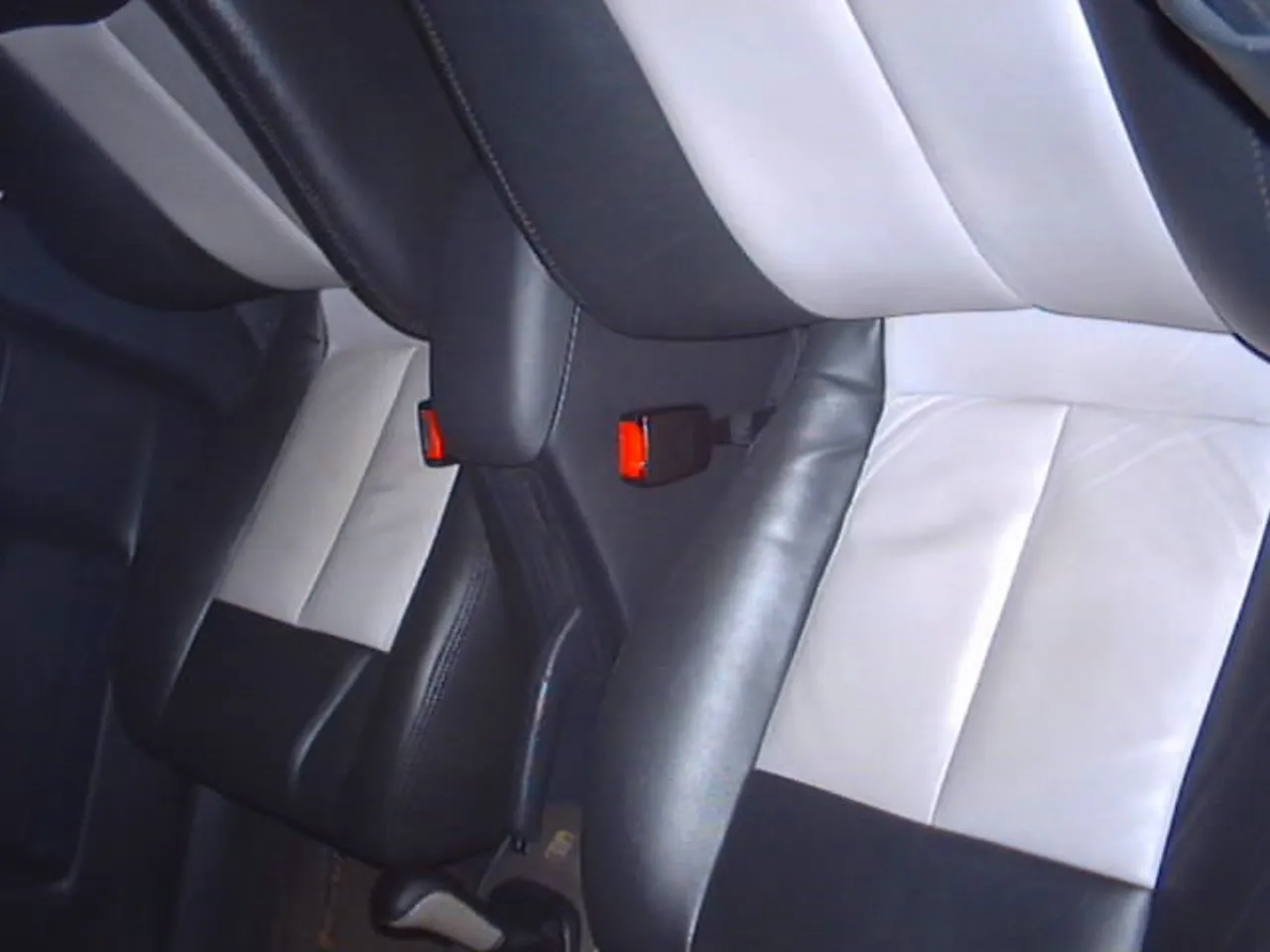 picture 11.jpg