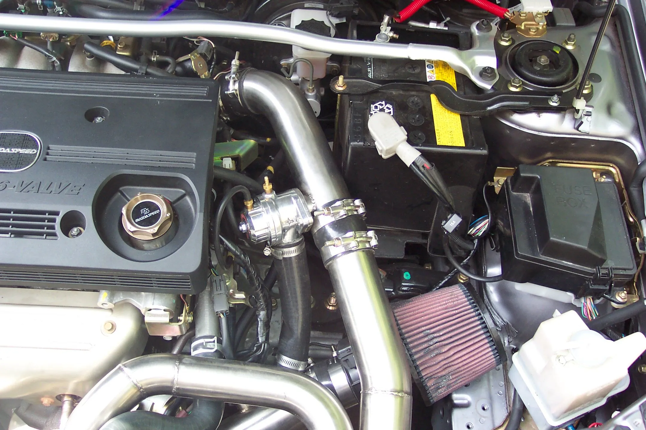 Picture 116.jpg