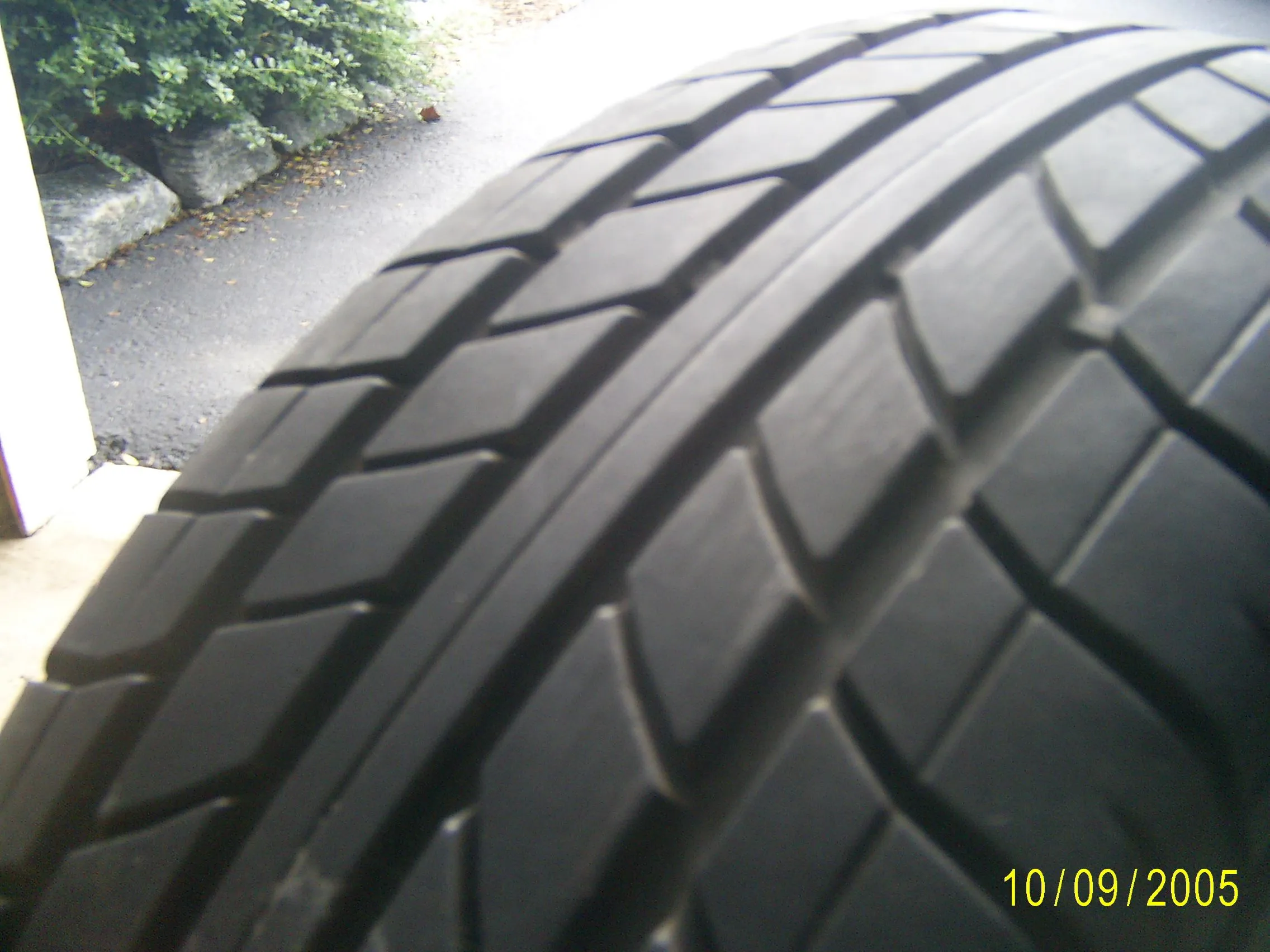 Picture 133.jpg