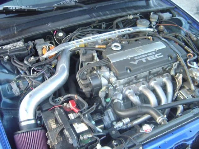 Picture 164.jpg