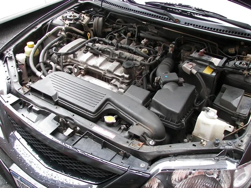 Picture 295crop.webp