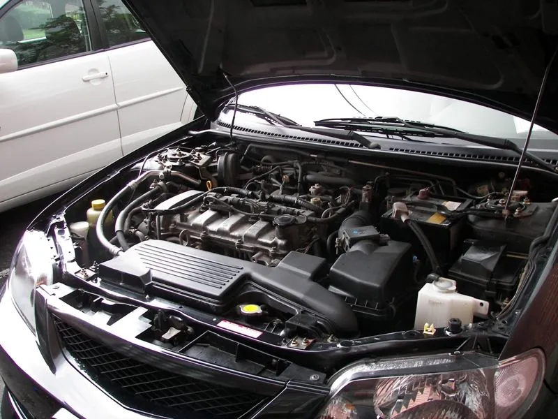 Picture 296crop.webp