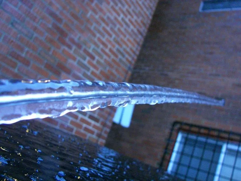 Picture 320crop.jpg