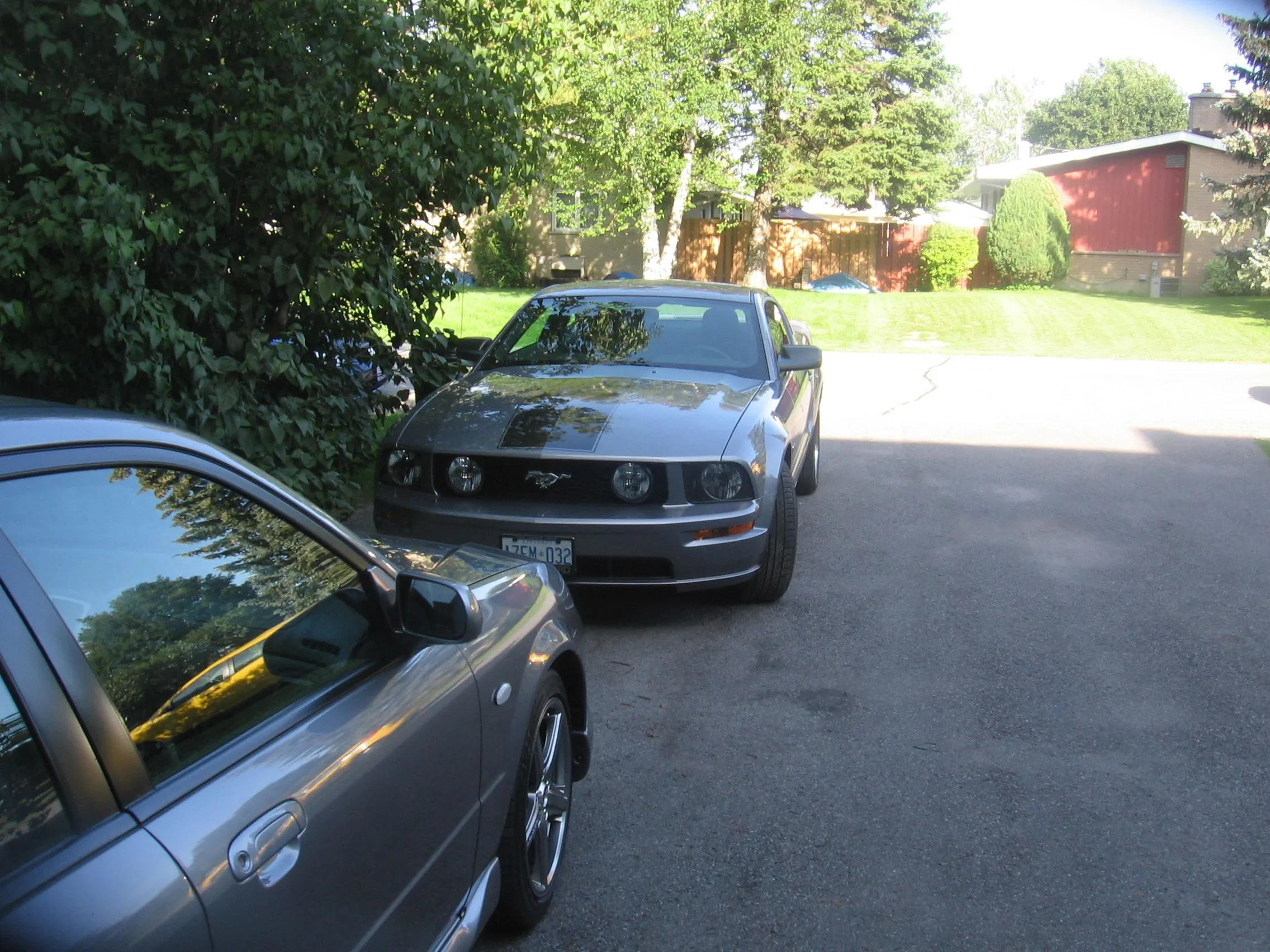 Picture 376.jpg