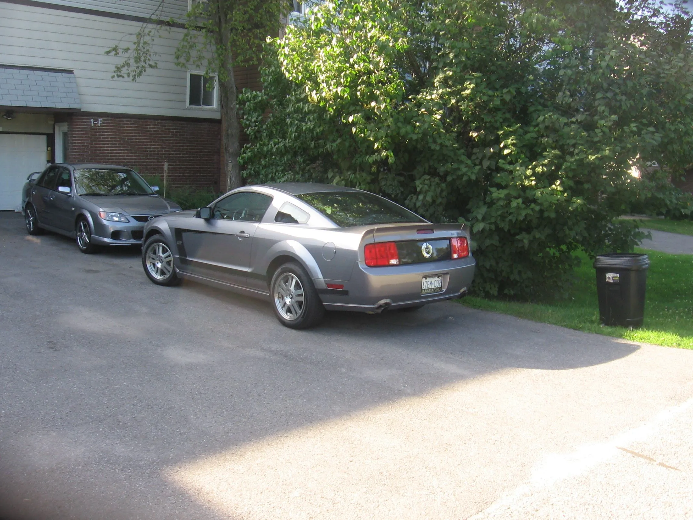 Picture 378.jpg