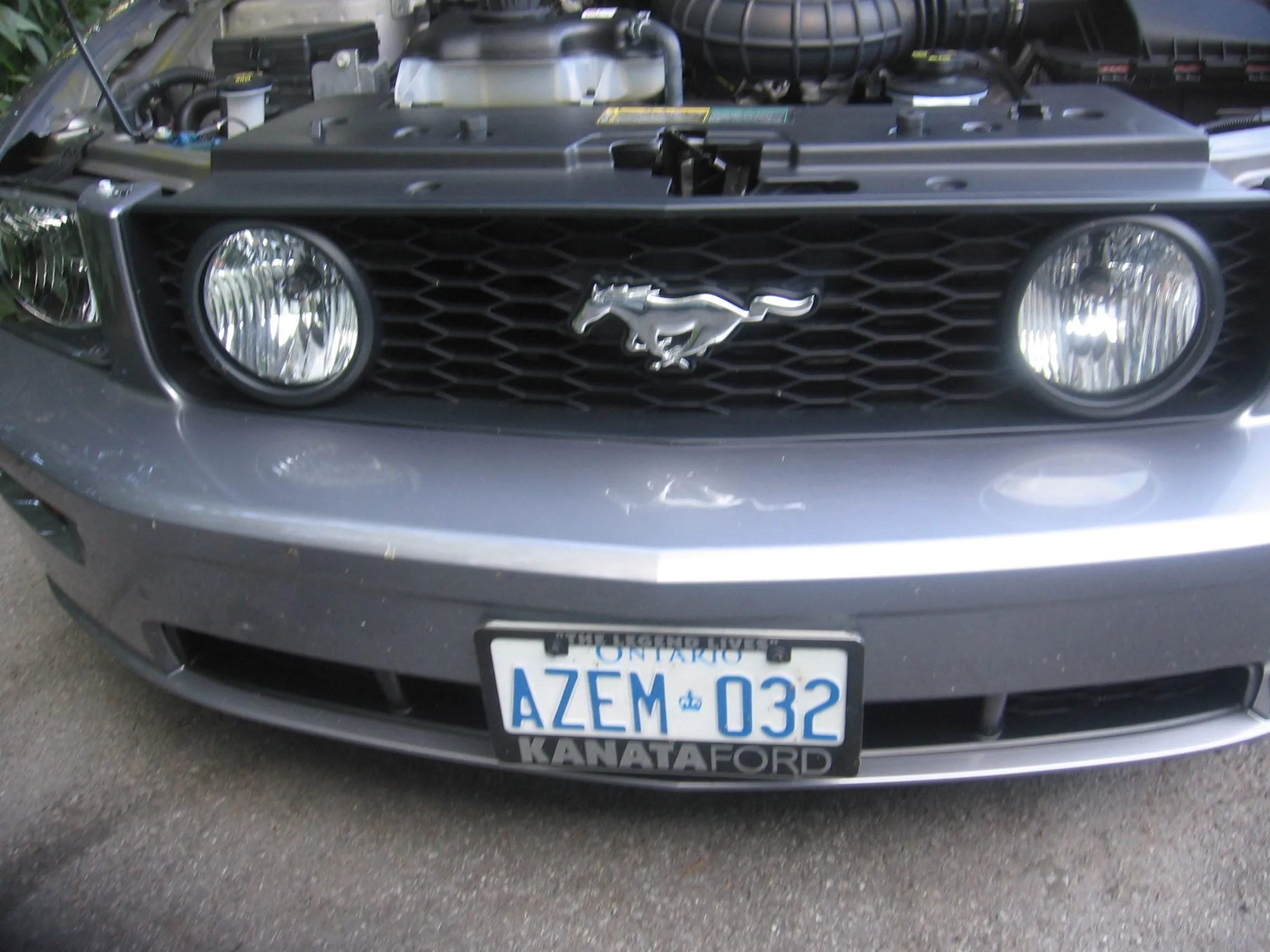 Picture 383.jpg