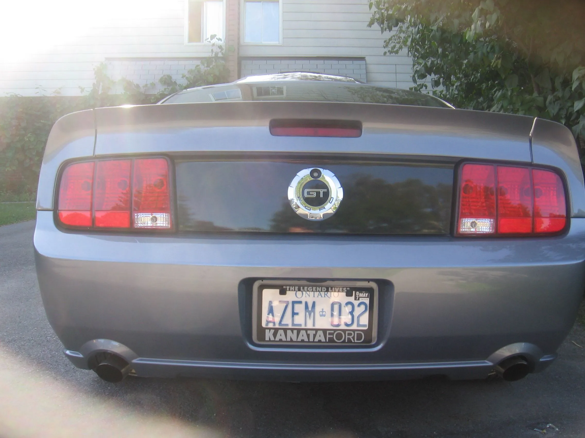 Picture 384.jpg