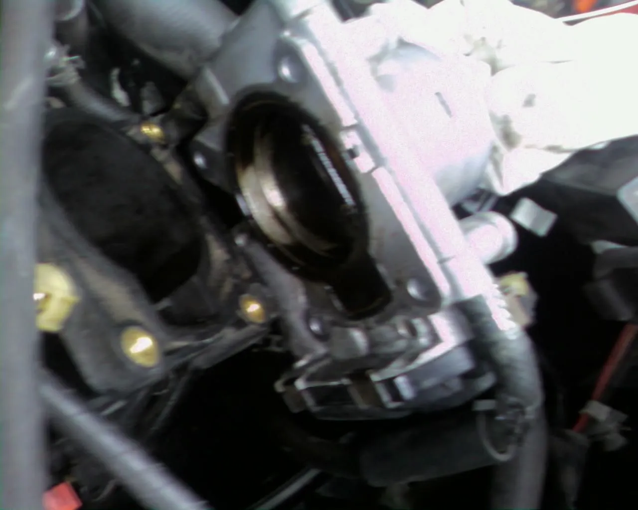 Picture0140.jpg