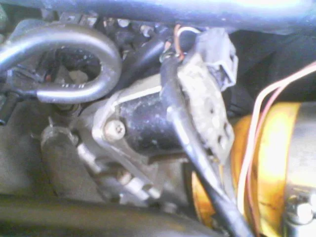 Picture021.jpg