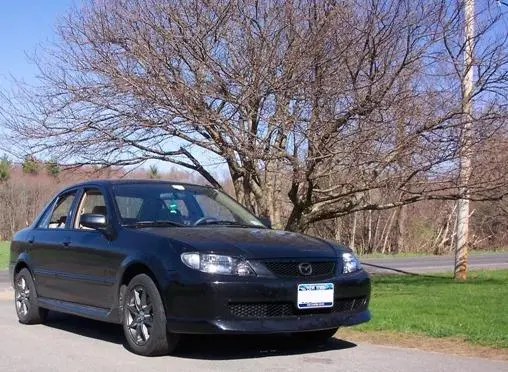 Picture031crop.jpg