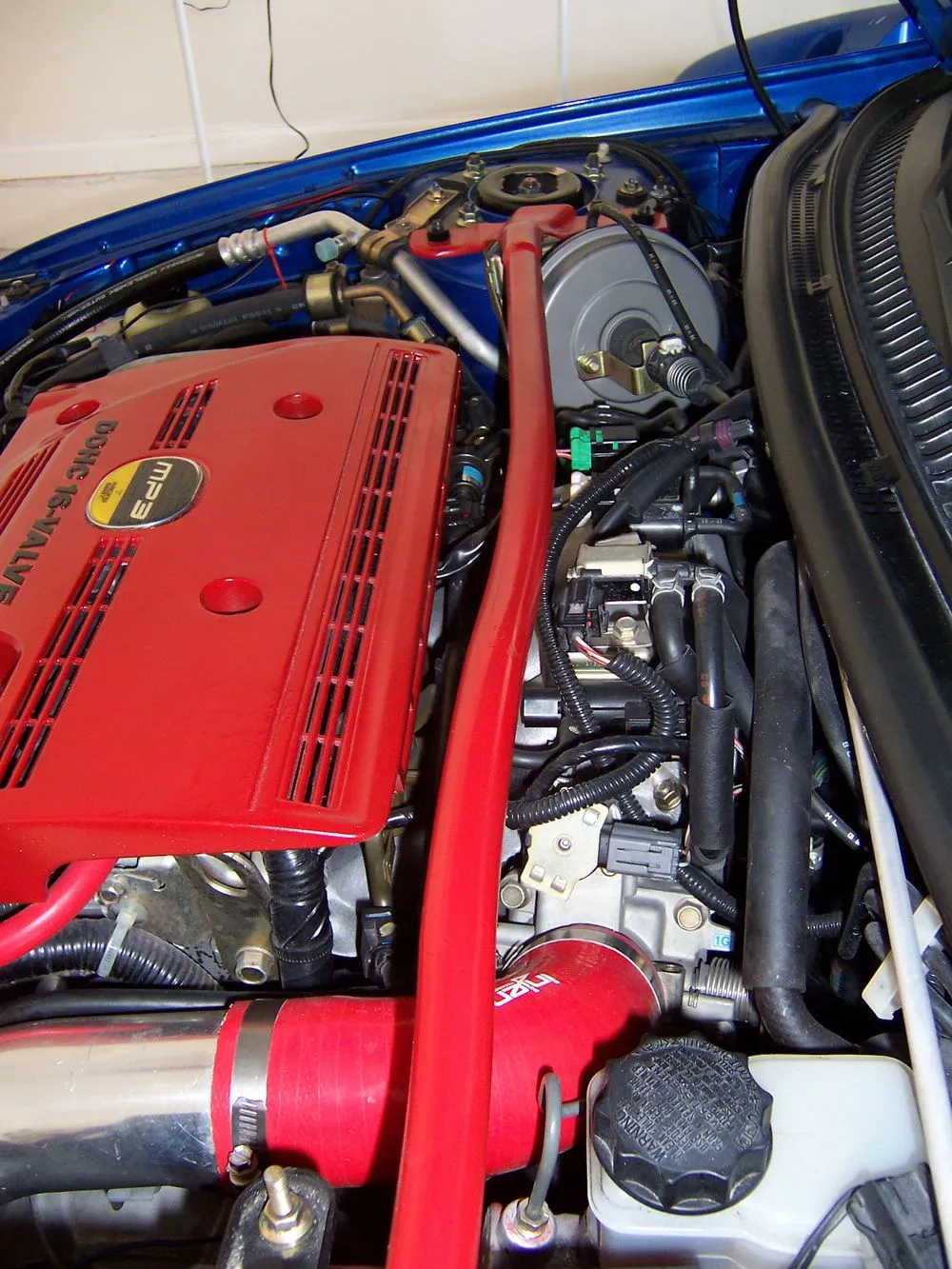 Picture_1503.JPG