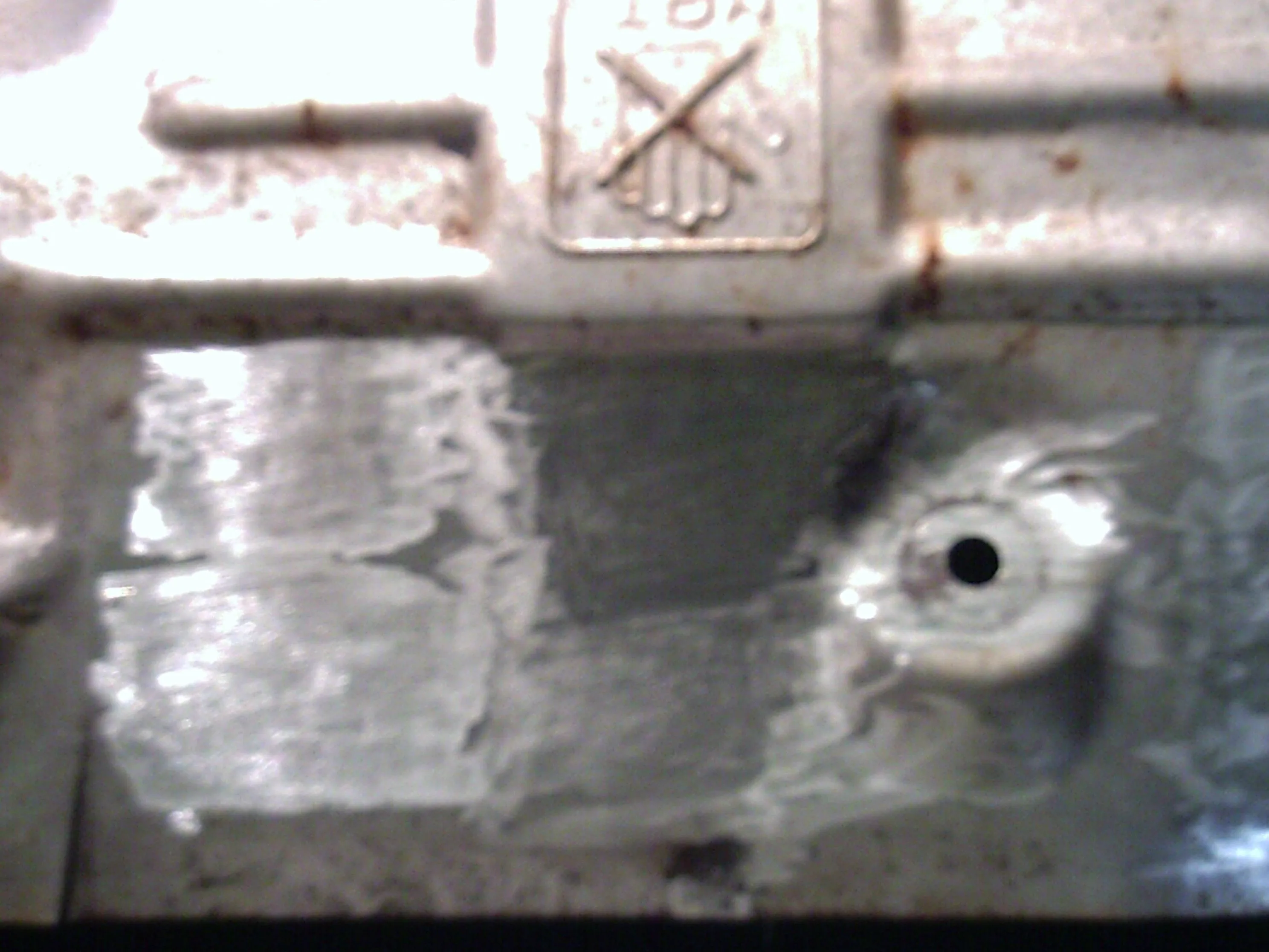 Polish Type.jpg