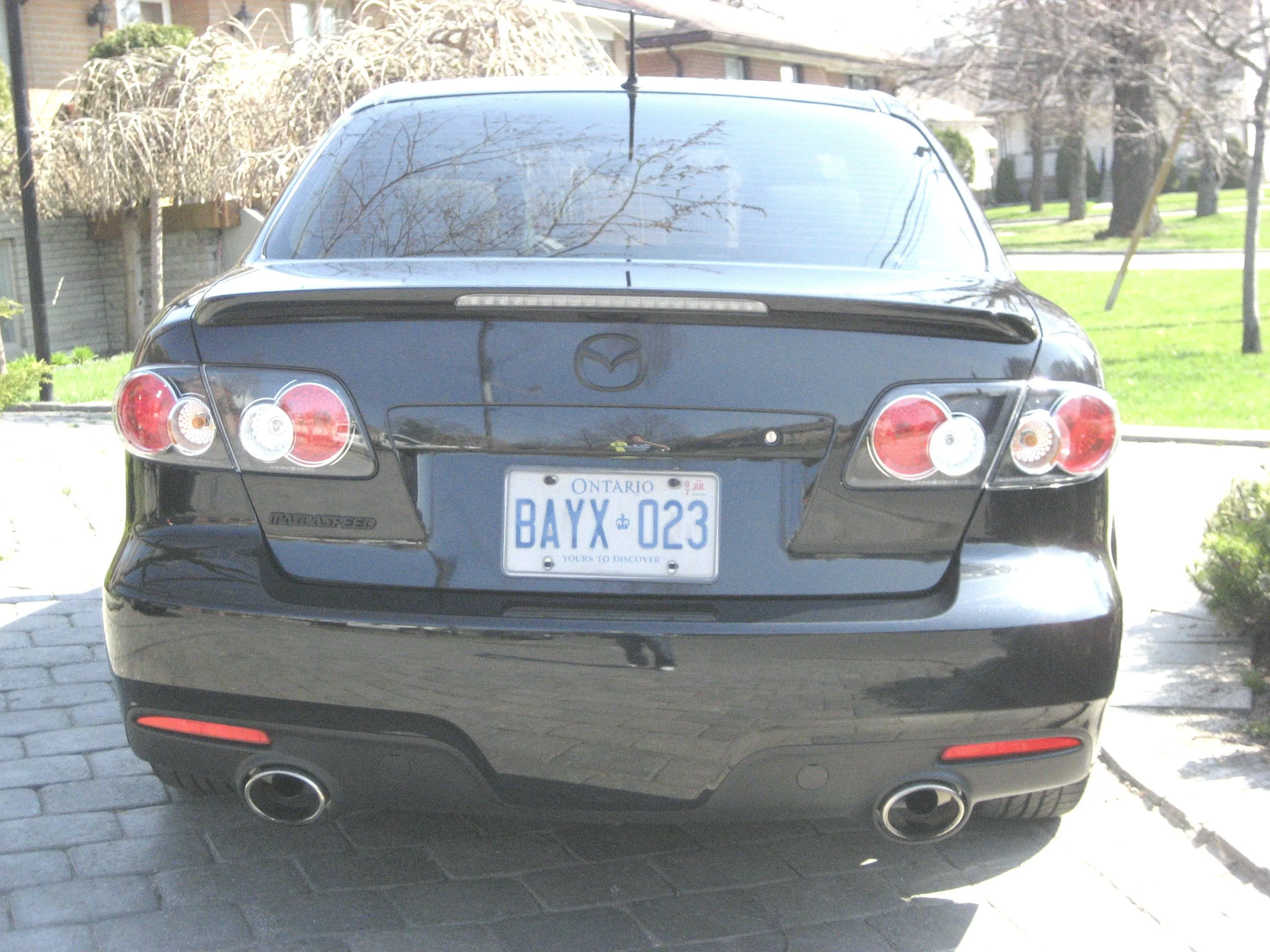 powder coat rear.jpg