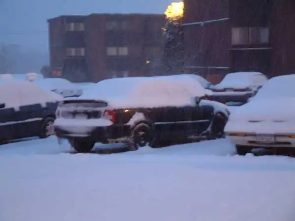 pro in the snow.webp