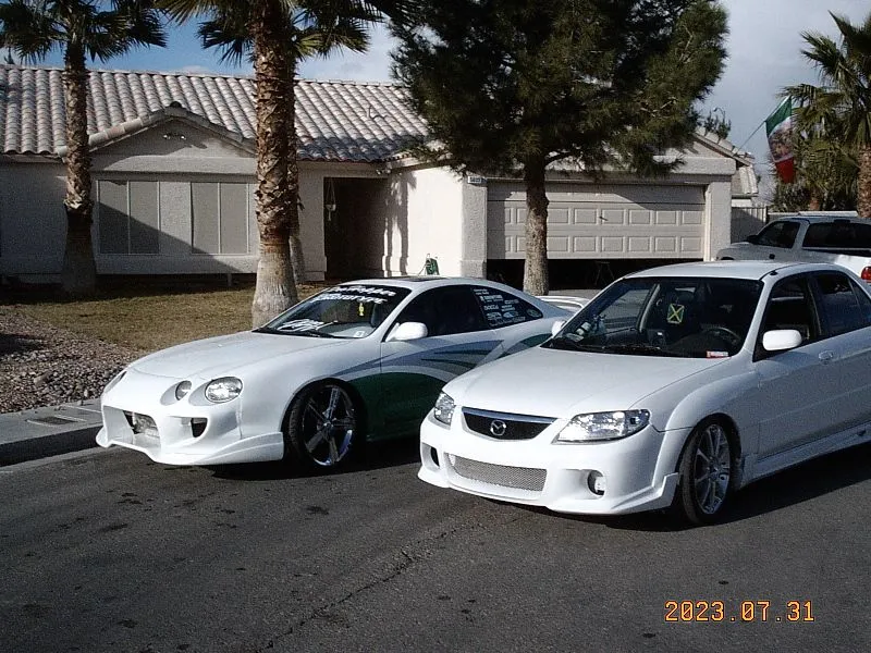 prote&celica1.webp