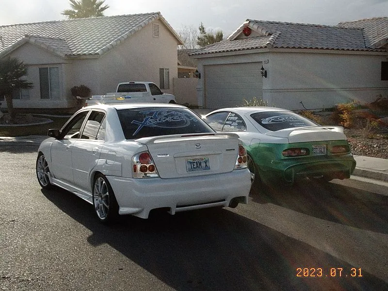 prote&celica2.webp