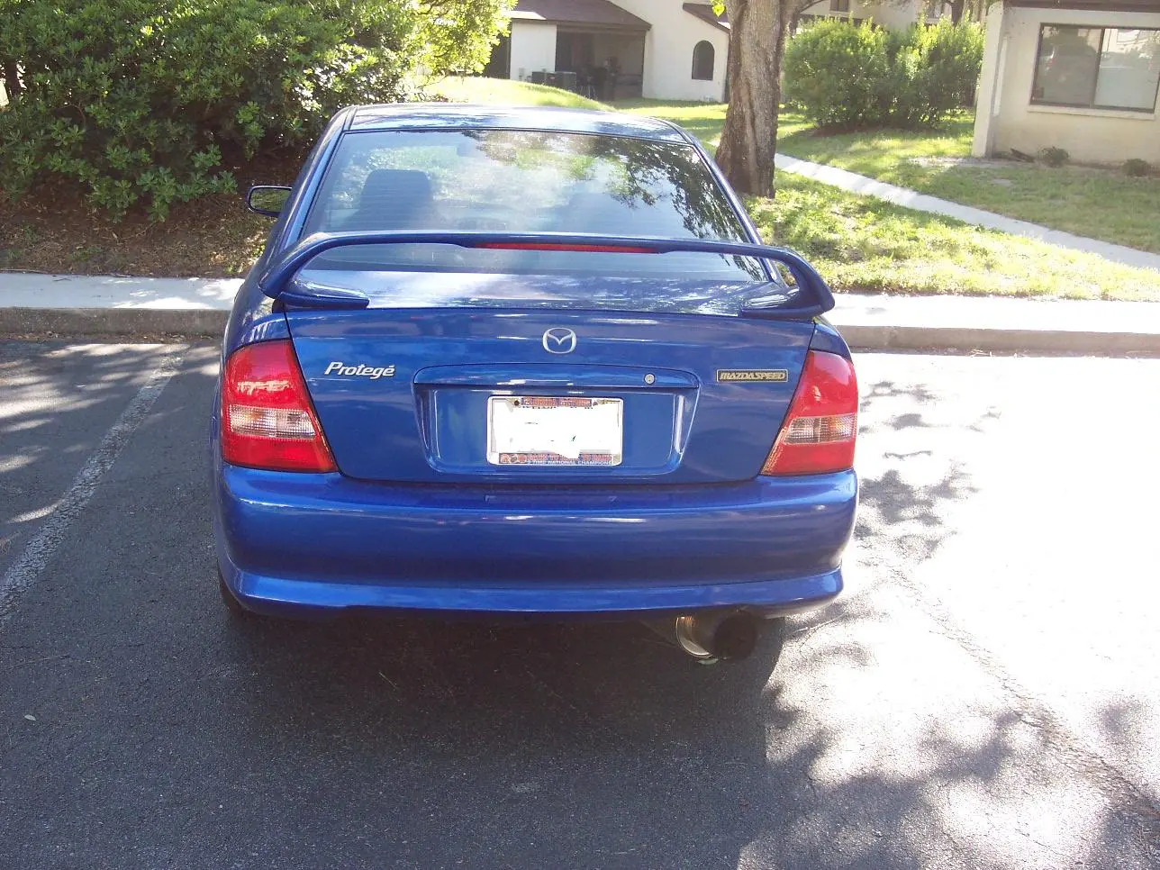 Protege 005.jpg