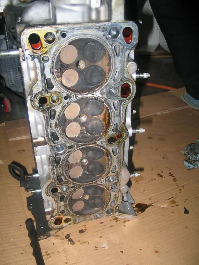 protege 009.JPG