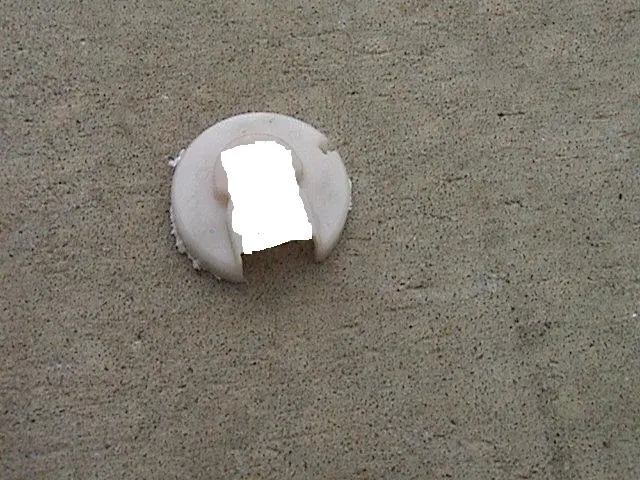 Protege 034revised.webp