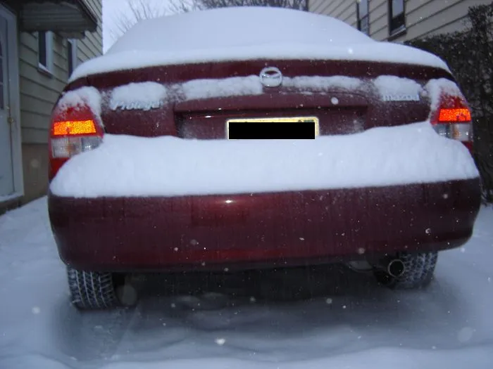 protege back copy.webp