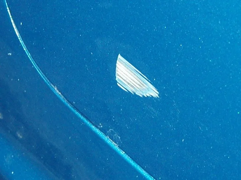 protege dent 001.jpg