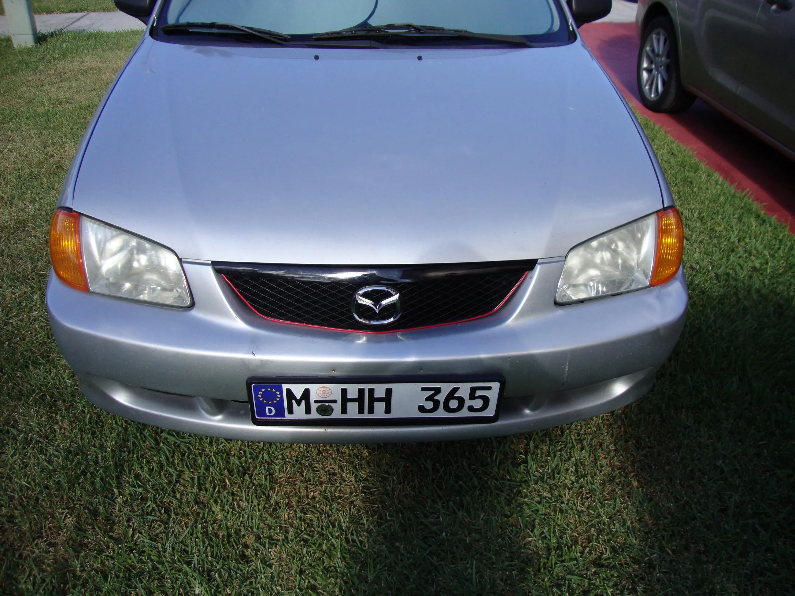 protege grille.JPG