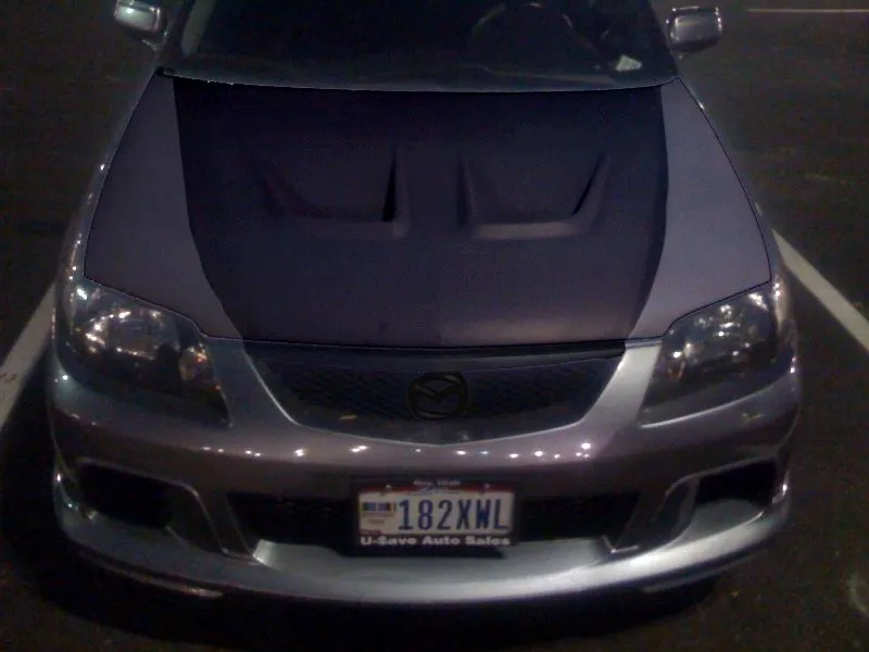 protege hood1.jpg