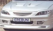 protege123eb.jpg