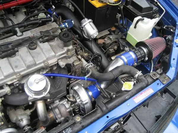 protege5.jpg